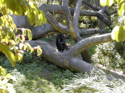 02 Banobos 01.JPG