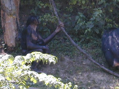 07 Banobos 06 - with baby.JPG