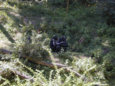 08 Banobos 07.JPG