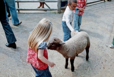 03 Emily with sheep.jpg