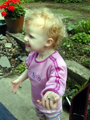 02 Violet with rocks.JPG
