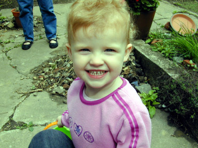 03 Violet 01.JPG