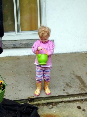 07 Violet 03.JPG