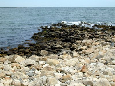 10 Narragansett shore.JPG