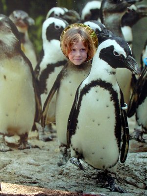 02 Bailey Penguin 02.JPG
