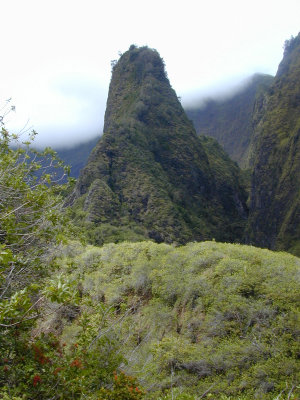 10 Iao Needle 04.JPG