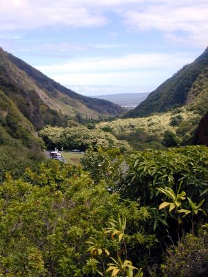 11 Iao Valley 01.JPG
