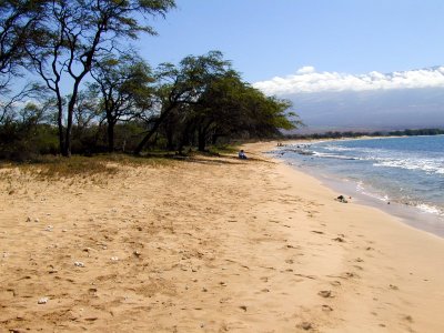 18 Beach at Kealia Pond 01.JPG