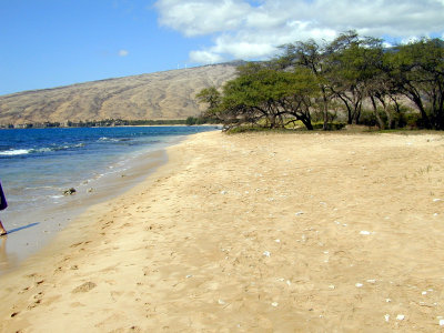 20 Beach at Kealia Pond 02.JPG