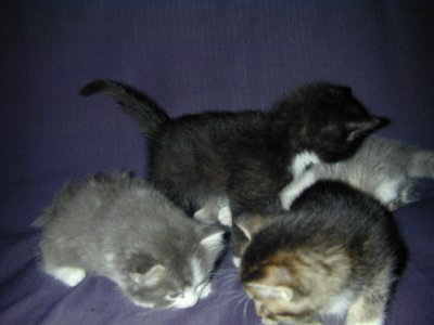 DSCN2222.JPG