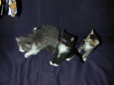 DSCN2225.JPG