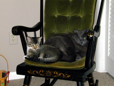 02 Maya and Max 02.JPG