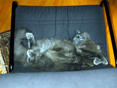 03 Max 01.jpg