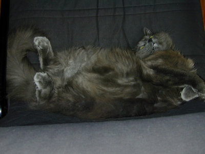 04 Max 02.jpg