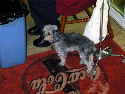 03 Mollie.JPG