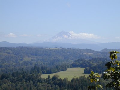 28 Mt. Hood from Bluff Road 1.JPG