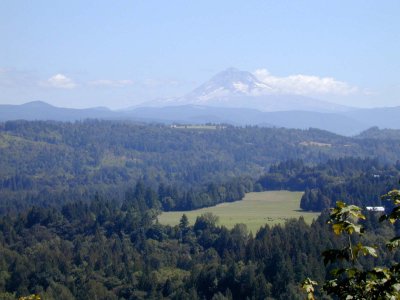 29 Mt. Hood from Bluff Road 2.JPG