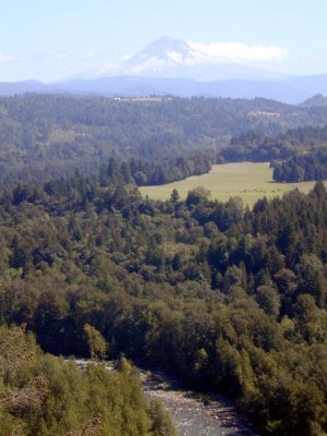 30 Mt. Hood from Bluff Road 3.JPG