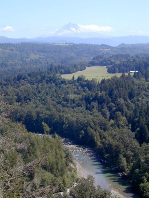 31 Mt. Hood from Bluff Road 4.JPG