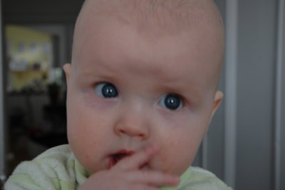 DSC_0127.JPG