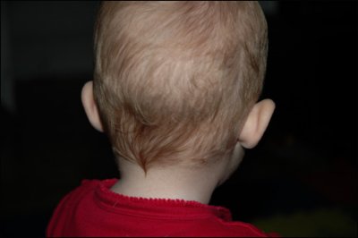 15 hair_back.jpg