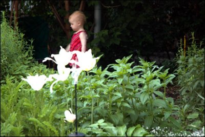04 backyard_forest-fleurs.jpg