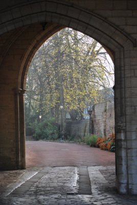 p19.jpg