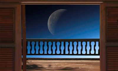 Moon Lit Night