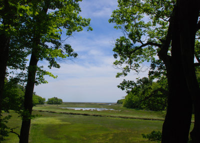 wr 8x10 DSC_3179.JPG