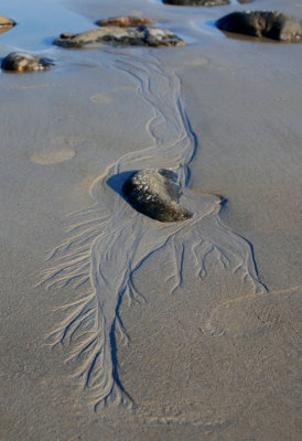 Plum Isl sand 13x19DSC_3035.JPG