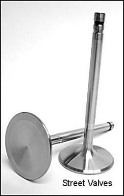 Engine Pro street valves.jpg