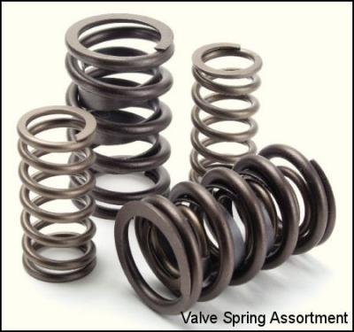 Engine Pro Valve Spring Assortment.jpg