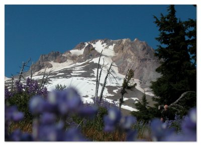 Mt Hood