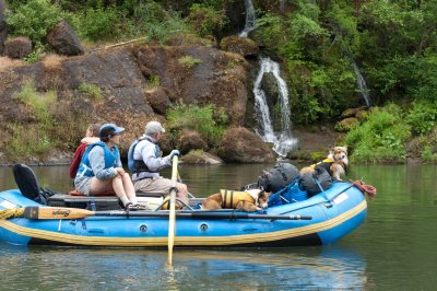 river dogs  w/ falls