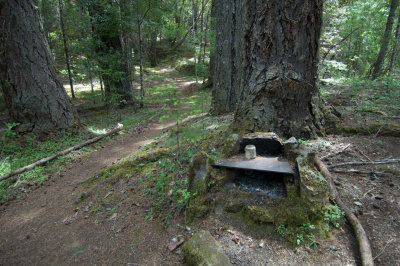 trail stove