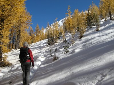 IMG_4176.jpg