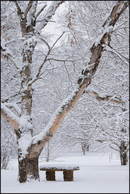 arboretum3507.jpg