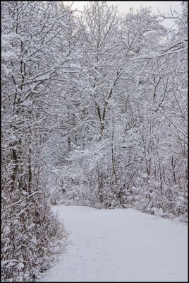 arboretum3556.jpg