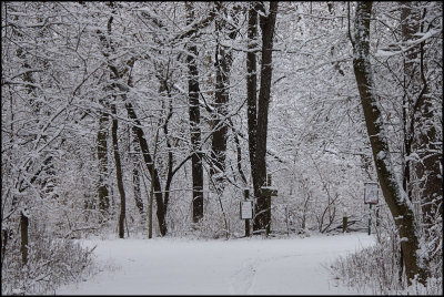 arboretum3615.jpg