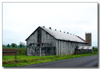 barn2591.jpg