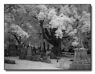 cemetery6683.jpg