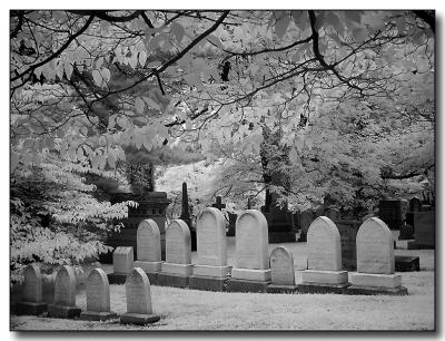 cemetery6691.jpg