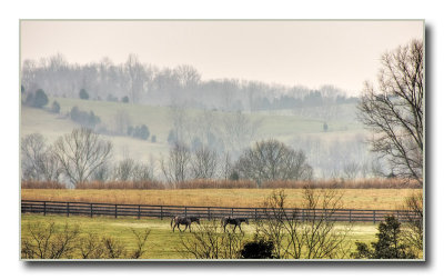 horses0826.jpg