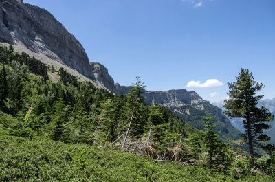 Detalle Sierra de la Cutas