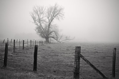 Pasture, San Geronimo