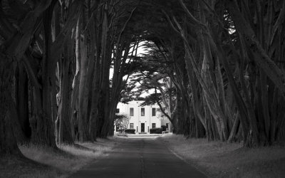 NDOC Driveway, Point Reyes