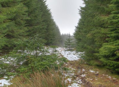 small march snow.jpg