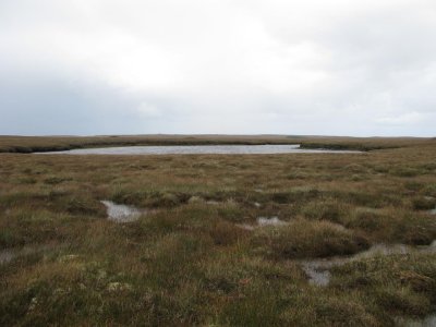 Loch Craidhadh.jpg