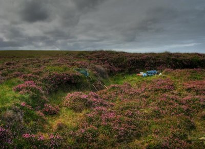 great heather colours at another lunch spot.jpg