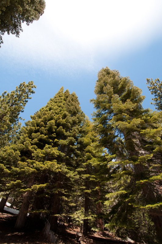 yosemite_584.jpg